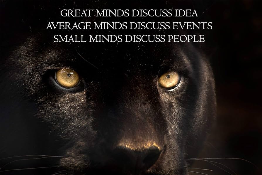 inspirational-black-panther-quotes