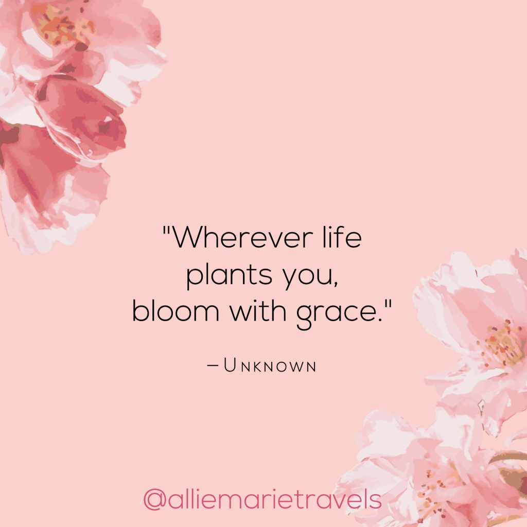 inspirational-quotes-about-growing