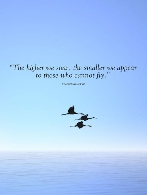 inspirational-soar-high-quotes