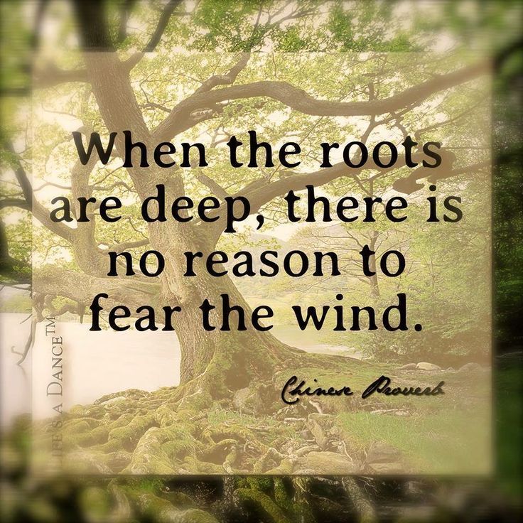 inspirational-strong-roots-quotes