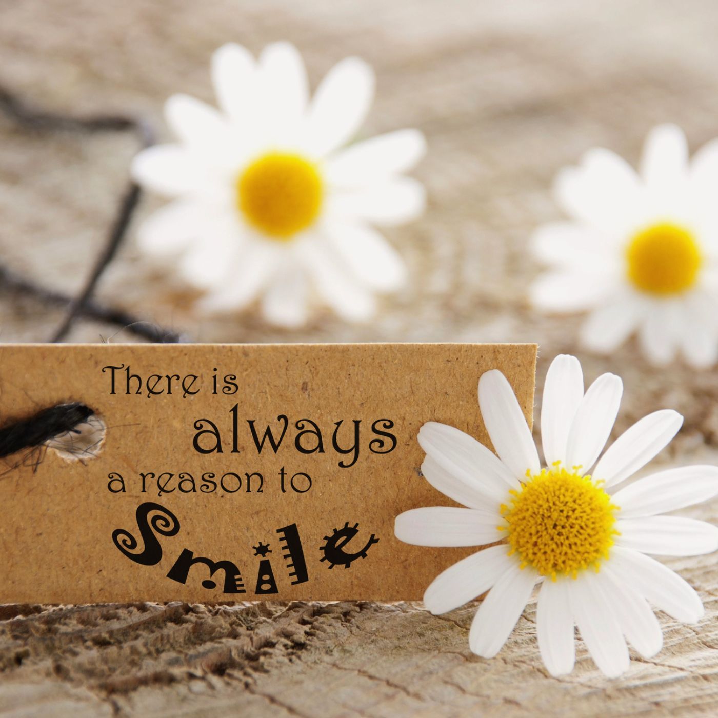 one-line-inspirational-quotes-about-life