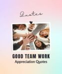 good team work appreciation quotes