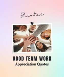 good team work appreciation quotes