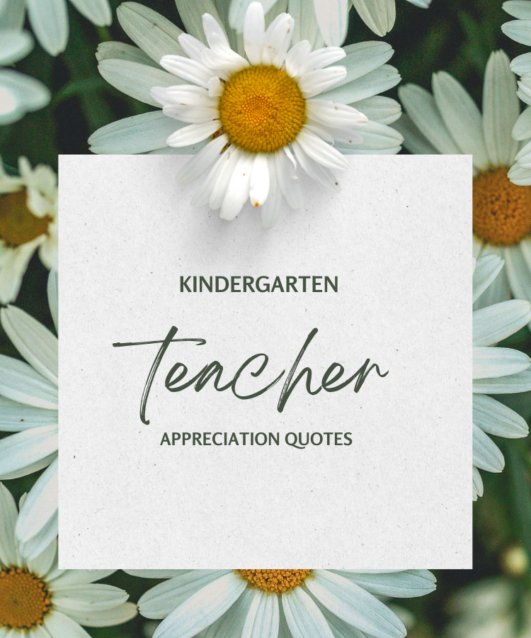kindergarten teacher appreciation quotes
