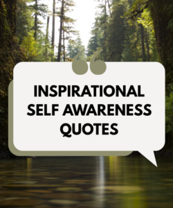Inspirational Self Awareness Quotes