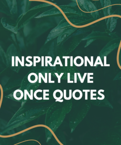 Inspirational Only Live Once Quotes