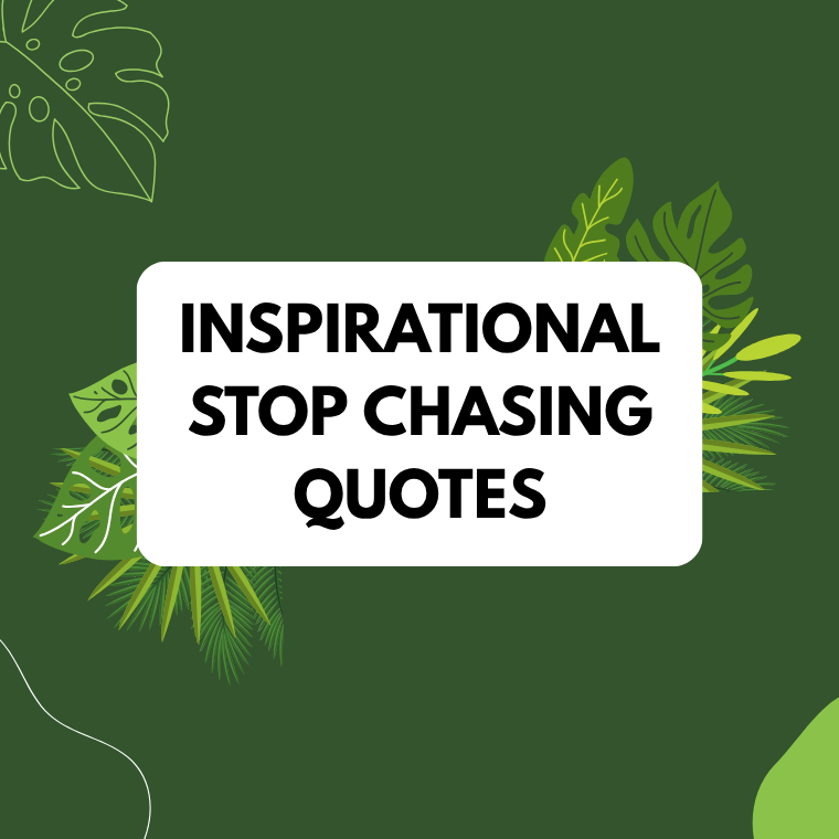 Inspirational Stop Chasing Quotes